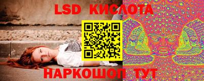apvp Партизанск