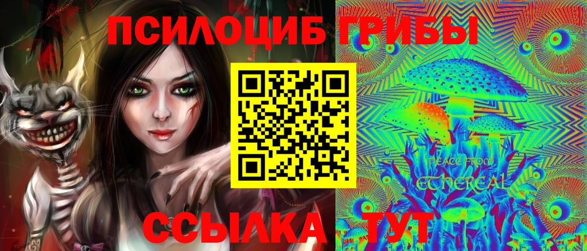Псилоцибиновые грибы мицелий  Вход с VPN  Сокол 