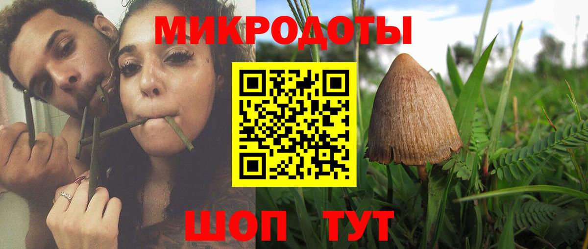 Галлюциногенные грибы мухоморы Сокол